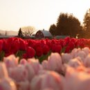 (주)스퀘어팜 이미지