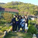 일도농장 이미지