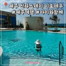 제주 신라스테이 이호테우 아이와 함께 하는 제주여행 숙소추천