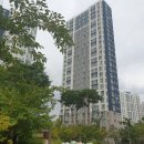 송린초등학교 이미지