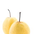 송호철한의원 이미지