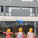 토마토부폐 이미지