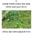 선학초등학교 이미지