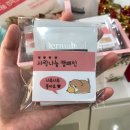 킴스애견미용실 이미지