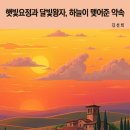 햇빛