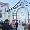 (주)스카이웨딩컨벤션 이미지