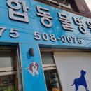 청천종합동물병원 이미지