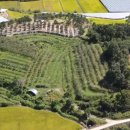 사과나무부동산공인중개사사무소 이미지