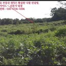 상신목장 이미지