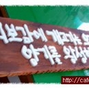 공주보신탕