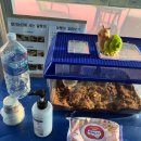 돈다산농장 이미지