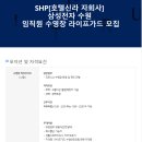 에스에이치피(SHP) 이미지