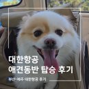 제주 부산 대한항공 애견동반 기내 탑승 후기 KE1550 KE1553