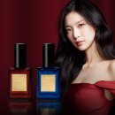 리더스b | [신상 향수] 더 리더스 노트 리더의 품격을 담은 향수 - 리치 패션, 위즈덤 아우라 후기