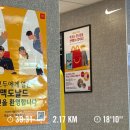채널24(Ch.24) | 이탈리아 의대시험 IMAT 준비 24주차: 달콤 쌉싸름한 나의 젊음