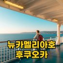 뉴카멜리아호 부산 후쿠오카 배편! 시간 요금 완벽 가이드