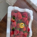 순성농장 이미지