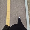 족보삼 | 경기도 인재개발원 신규자교육 3주차 후기