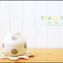 코튼테일 이미지