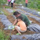 자경농장 이미지