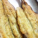 미친노가리 이미지