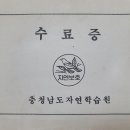 성모초교 이미지