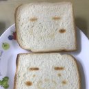 라이언토스트기 실패담....