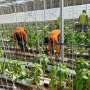 웅촌농장 이미지