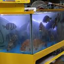 대성수산 이미지