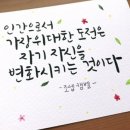 인셀덤 바라기