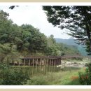 충북 제천의 자랑이자 국가명승제 20호 문화제의 산실이 된 우리나라 에서 가장 오래된 수리시설 인 의림지를 만나고 왔습니다 이미지