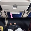 참좋은여행㈜ | 베트남 | 참좋은여행 다낭·호이안 패키지 DAY1 후기 - 에어프레미아 B787-9(좌석, 기내식, 와이파이...