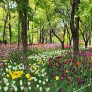 서울숲5 이미지