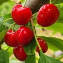 의정부경전철 회룡역 이미지