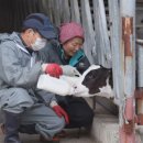 갑부목장 이미지