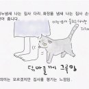 그루밍 이미지