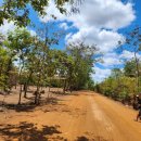 바이오농장 이미지