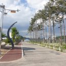 중동소류지 이미지