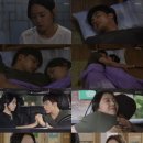 꽃 - 화해 이미지