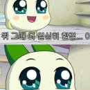 플랜드 이미지