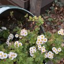 13월의아침 이미지