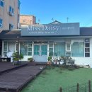 전주서곡중학교 | [익산/전주 퍼스널 컬러 진단] 미스데이지
