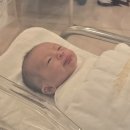 초산 38주 역아 제왕절개 후기 (강동 고은빛 더마본드, 제왕절개 비용, 제왕절개 출산준비물)