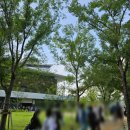 [240819~240822 도쿄 3,4일차] 빙글빙글 돌아가는 아리아케 마지막 이야기