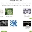 세사리빙청주