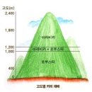 커피 재비 지형, 고도, 기후, 토양... 이미지