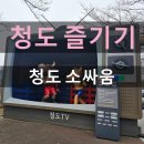 가-6 | 청도 가볼만한 곳 청도 소싸움 6세 아이랑 관람후기