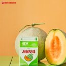 멜론 이미지