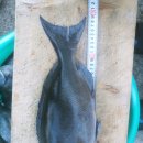 용눈이펜션 이미지