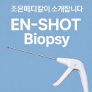 엔샷 네이버블로그